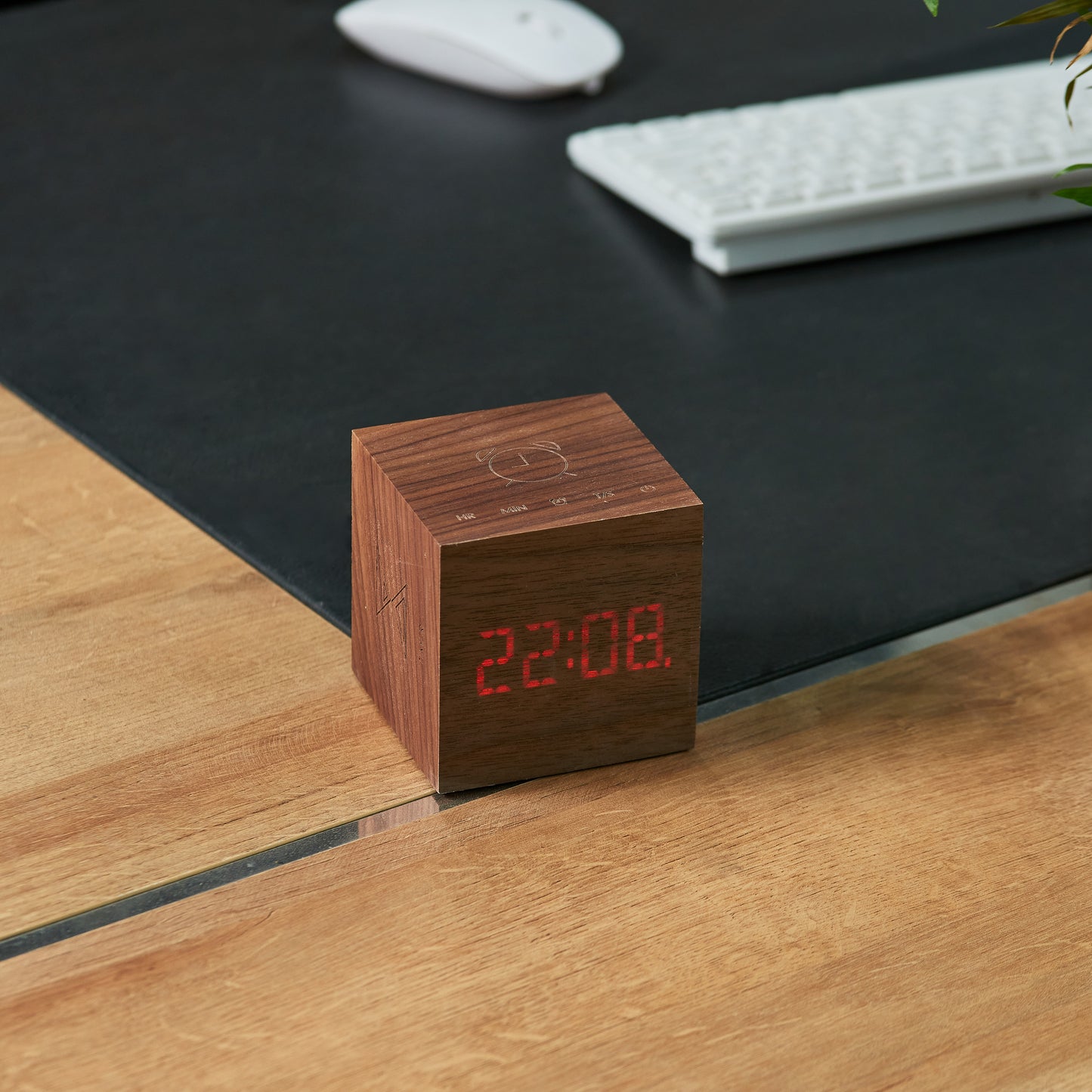 Walnut