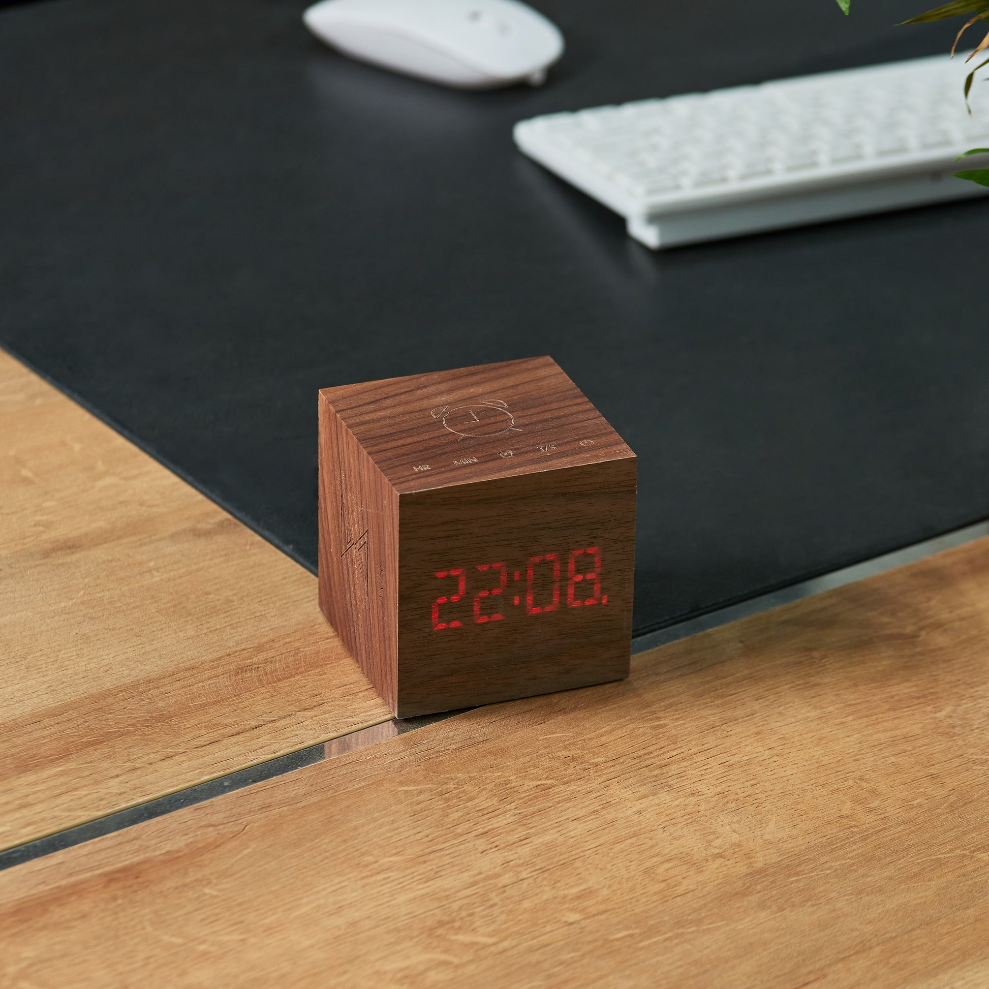 Walnut